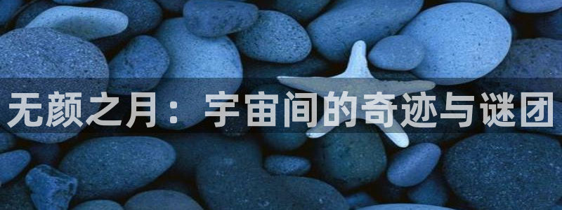 浪漫传说漫画免费观看动漫之家