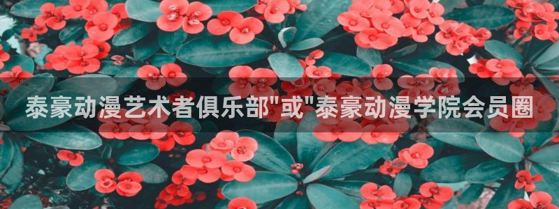 动漫之家免费版下载