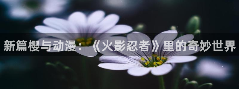动漫之家x2.1.1