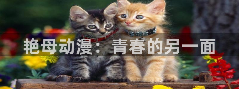 日本动漫之家