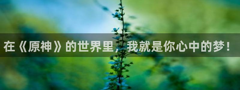 霹雳动漫之家