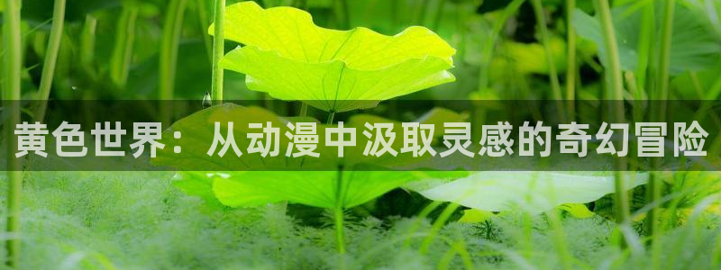 动漫之家 the
