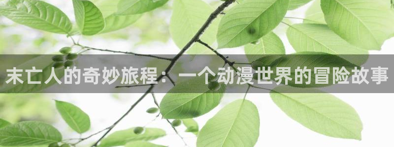 动漫之家动漫之家网页版
