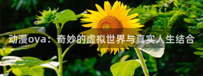 动漫之家在哪下载